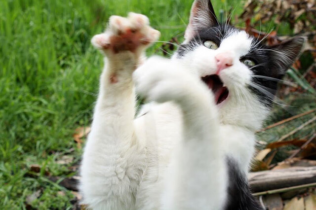 _勇士豪取五连胜，三分雨持续飘洒_，勇士三节120分