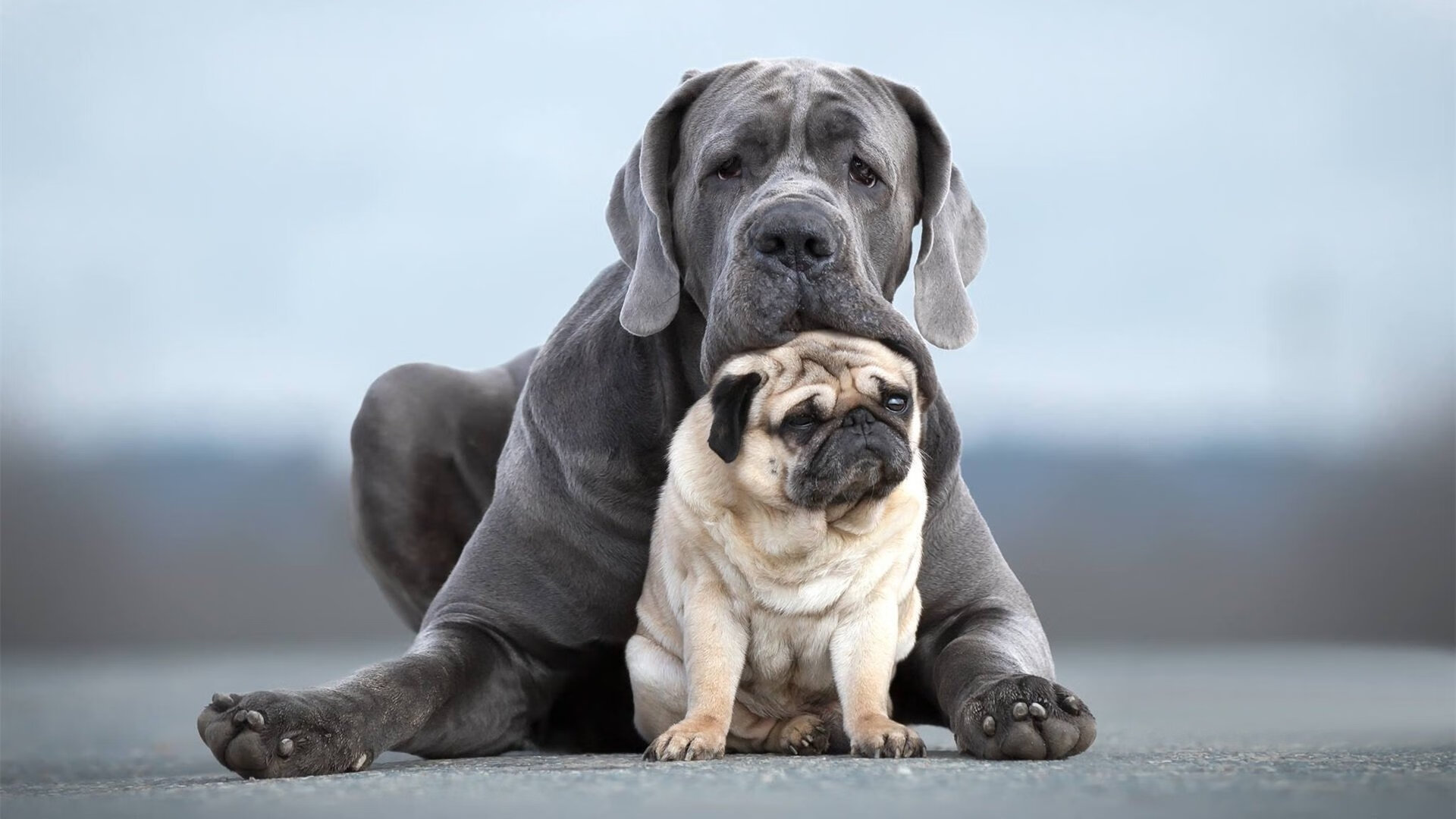 _开场即发难，快船压制对手整场_，快船队内单挑