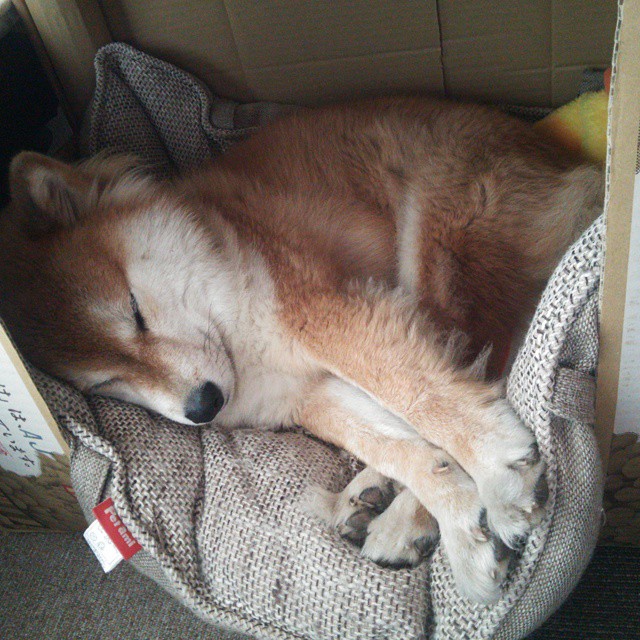 _骑士核心不断突破,年轻力量渐露锋芒_,骑士ehlo