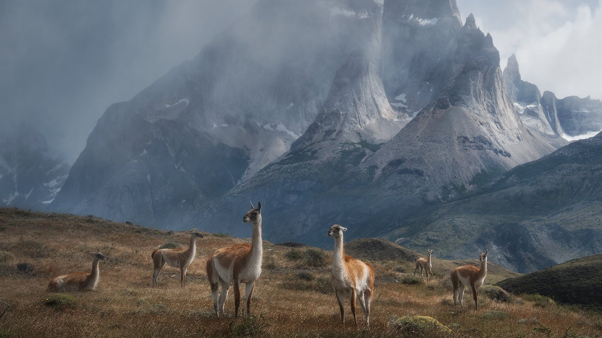 “湾区杯”围棋大棋士赛期间举办围棋文化主题讲座，围棋大赛2021