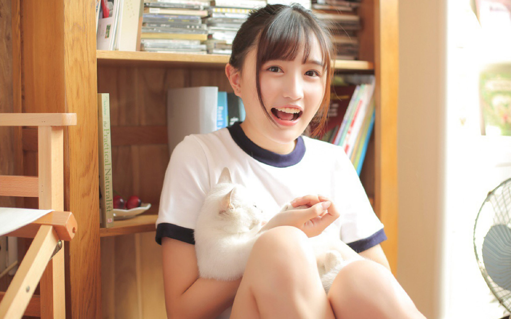 “足球+现代文学”融合，打造文化新品牌，足球文化文字