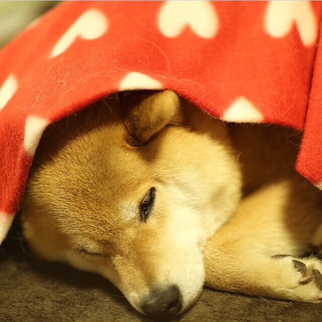 冠军“秘密武器”：那些球队的“制胜法宝”