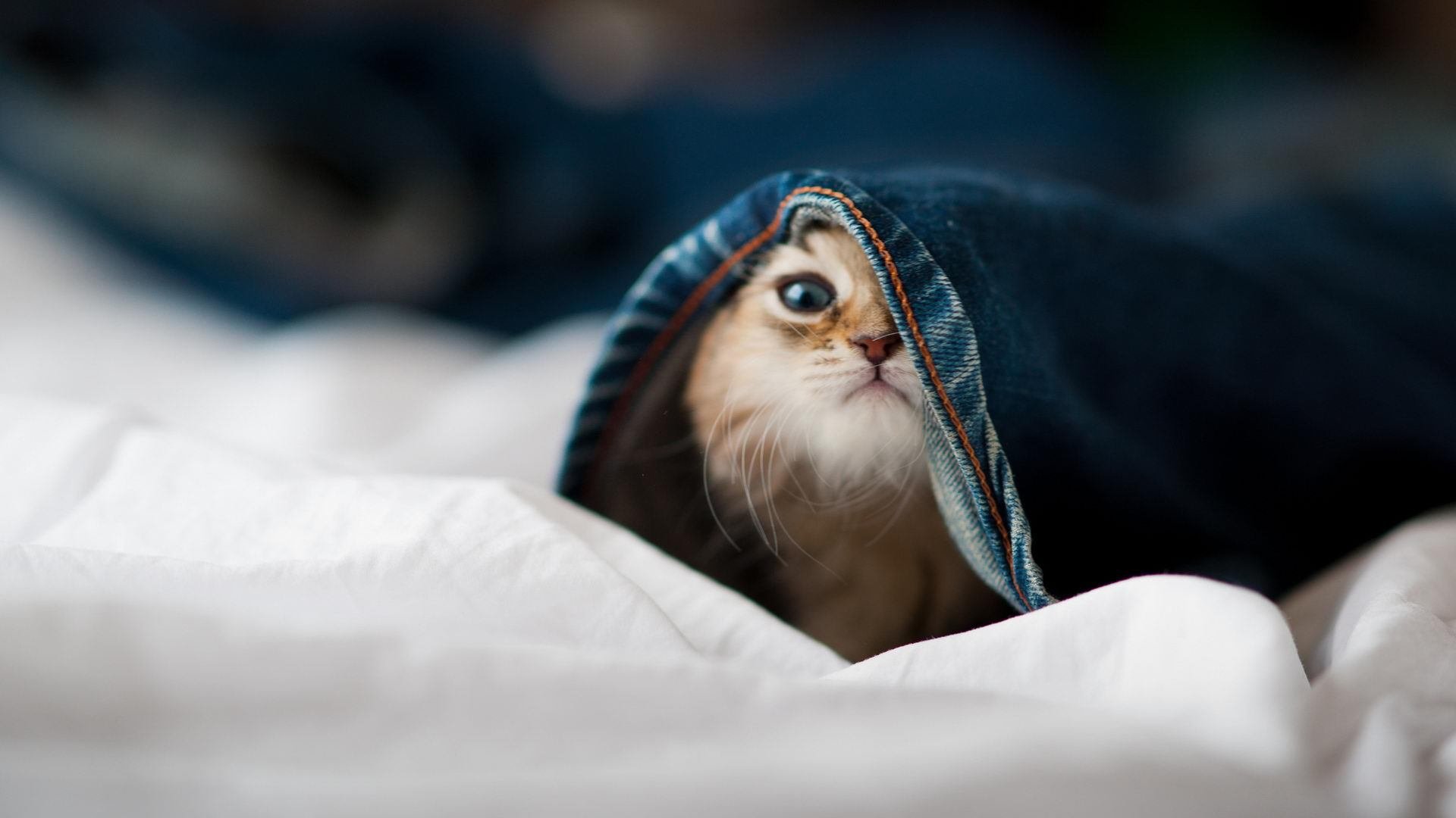 -墨西哥男足在巴黎奥运会比赛中表现出色，赢得奖牌，奥运男足墨西哥对巴西比分预测