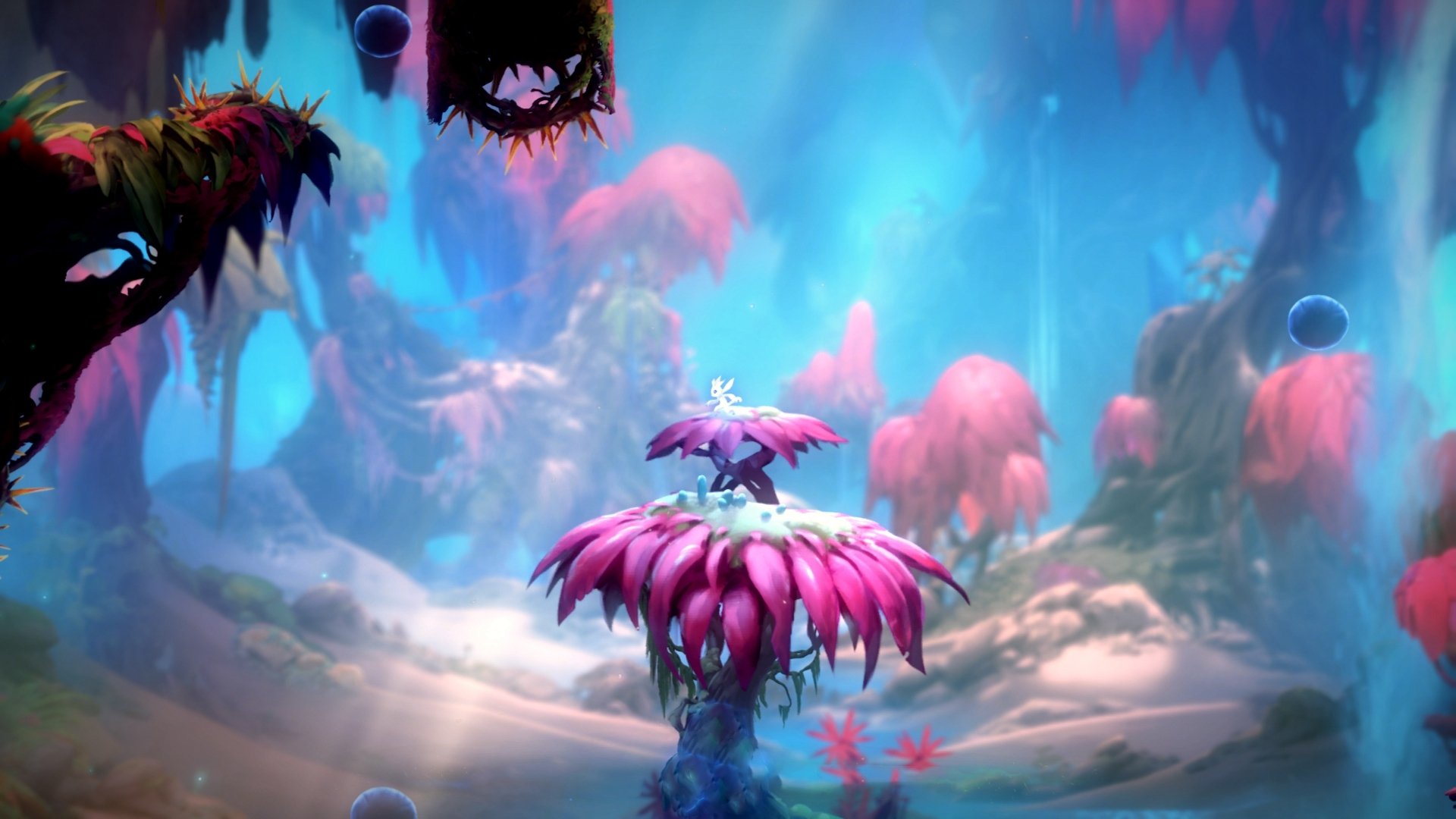 新兴国家加入F1，全球化趋势明显，21个新兴国家