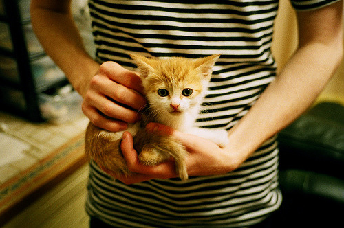 榜单揭晓:历届欧冠最耀眼球员TOP10,历届欧冠最佳球员