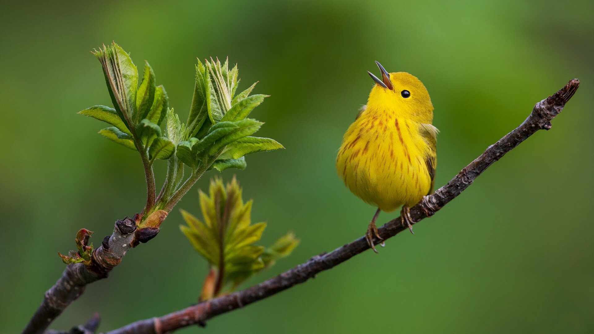 开云体育客户端-英超逆袭，教练强调防守战术，英超逆袭,教练强调防守战术是真的吗