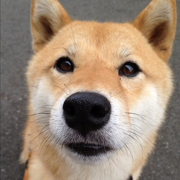 女足世界杯媒体采访精彩瞬间，女足世界杯纪录片