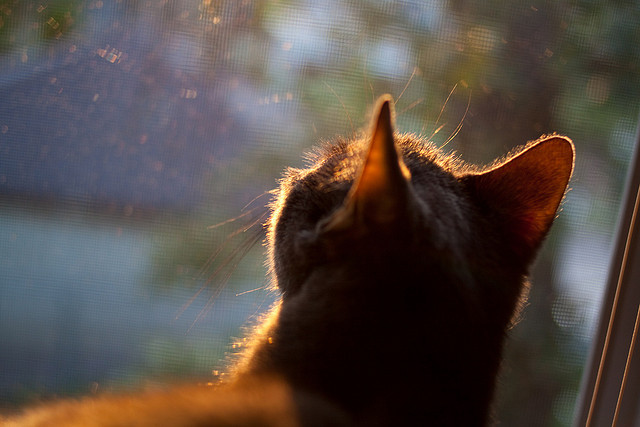 客队在比赛中展现出了惊人的攻击力,客队的球队席应位于记录台同方向的( )