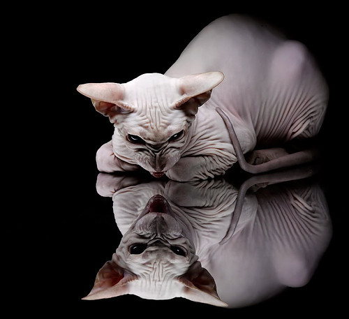 战术安排周密，比赛节奏激烈变化，战术安排的好怎么说