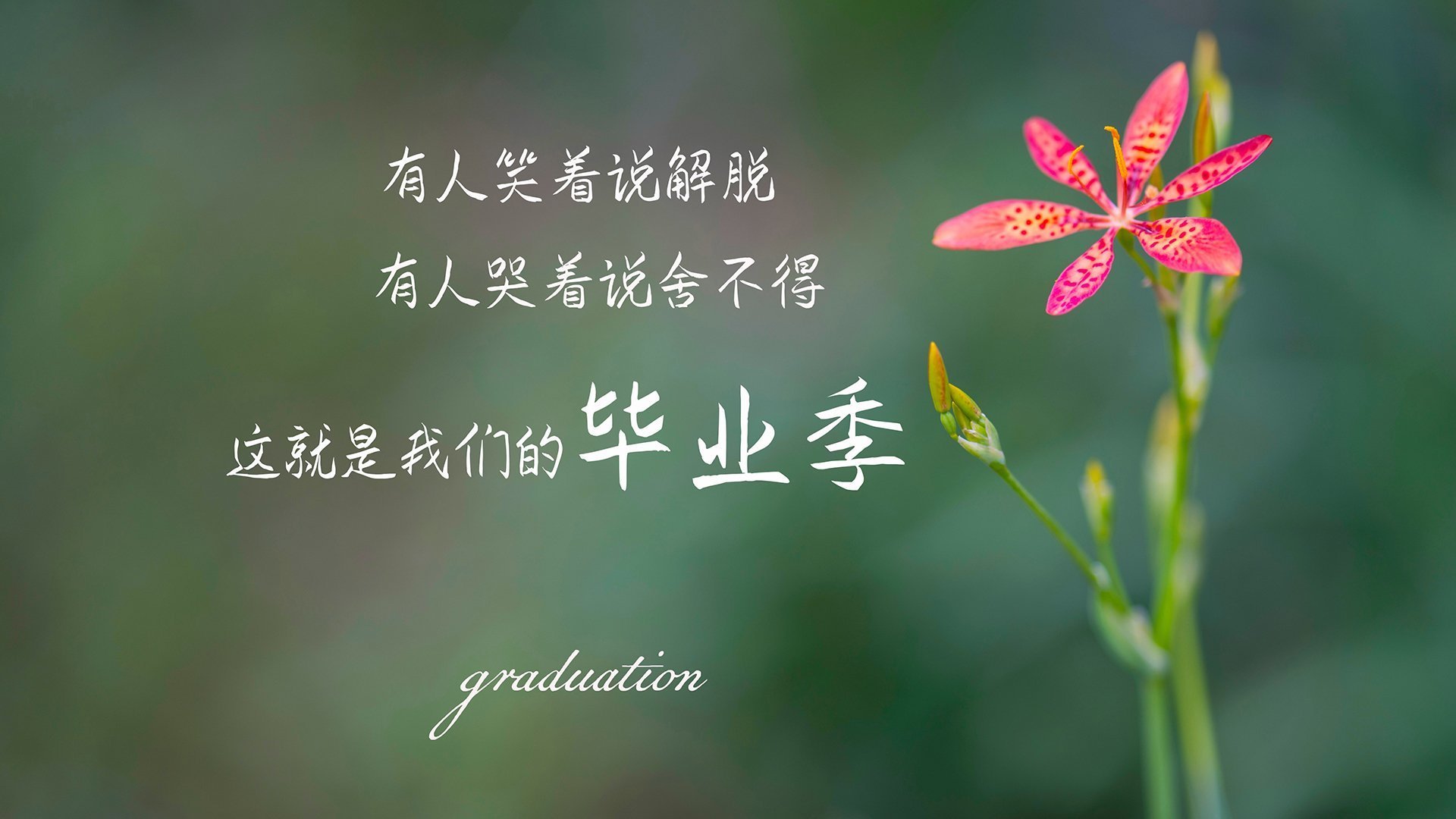 博卡难以摆脱拜仁的前场压制,博卡的主场在哪