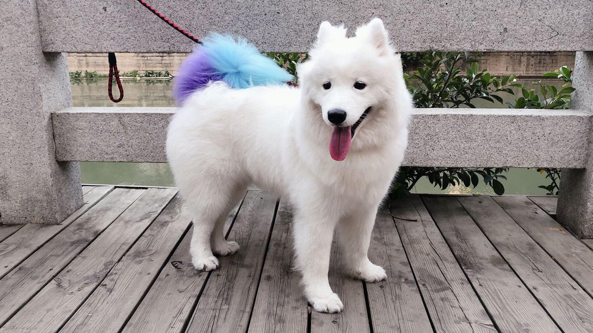 国家队战术执行为何频繁出现失误,国家队战术执行为何频繁出现失误现象